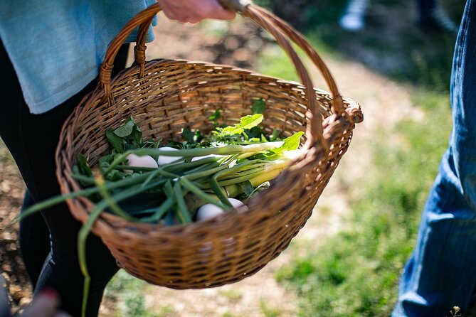 Traditional Cooking Class in Dubrovnik Countryside - Dietary needs and group size