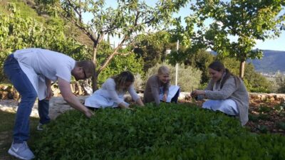 Traditional Dalmatian Cooking Class from Dubrovnik