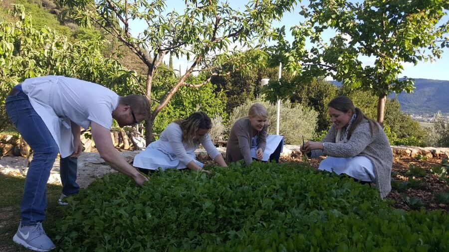 Traditional Dalmatian Cooking Class from Dubrovnik - Meeting the family behind the meal