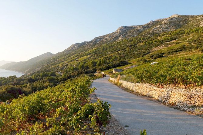 Wine Lover's Tour of Peljesac Peninsula - A short stop in Ston